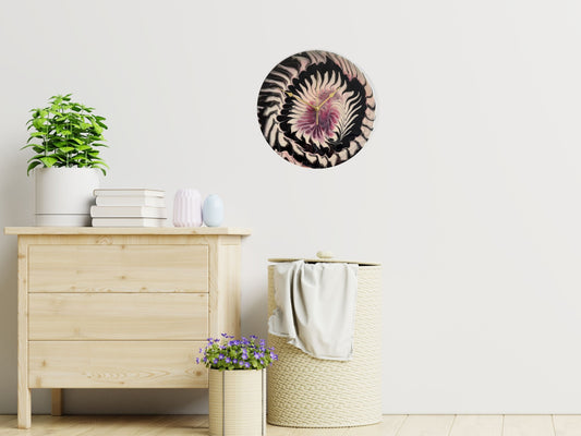 "Cruella” – 12" Silent Clock