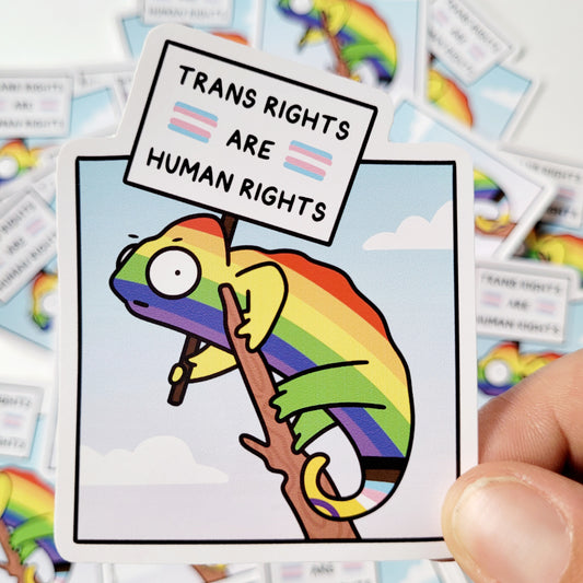 Trans Rights Vinyl Sticker