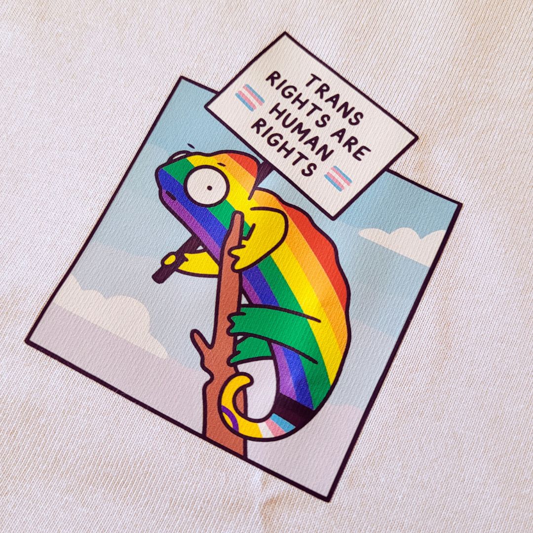 Trans Rights are Human Rights T-Shirt