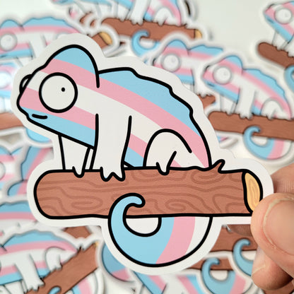 Asexual Queer Chameleon Sticker