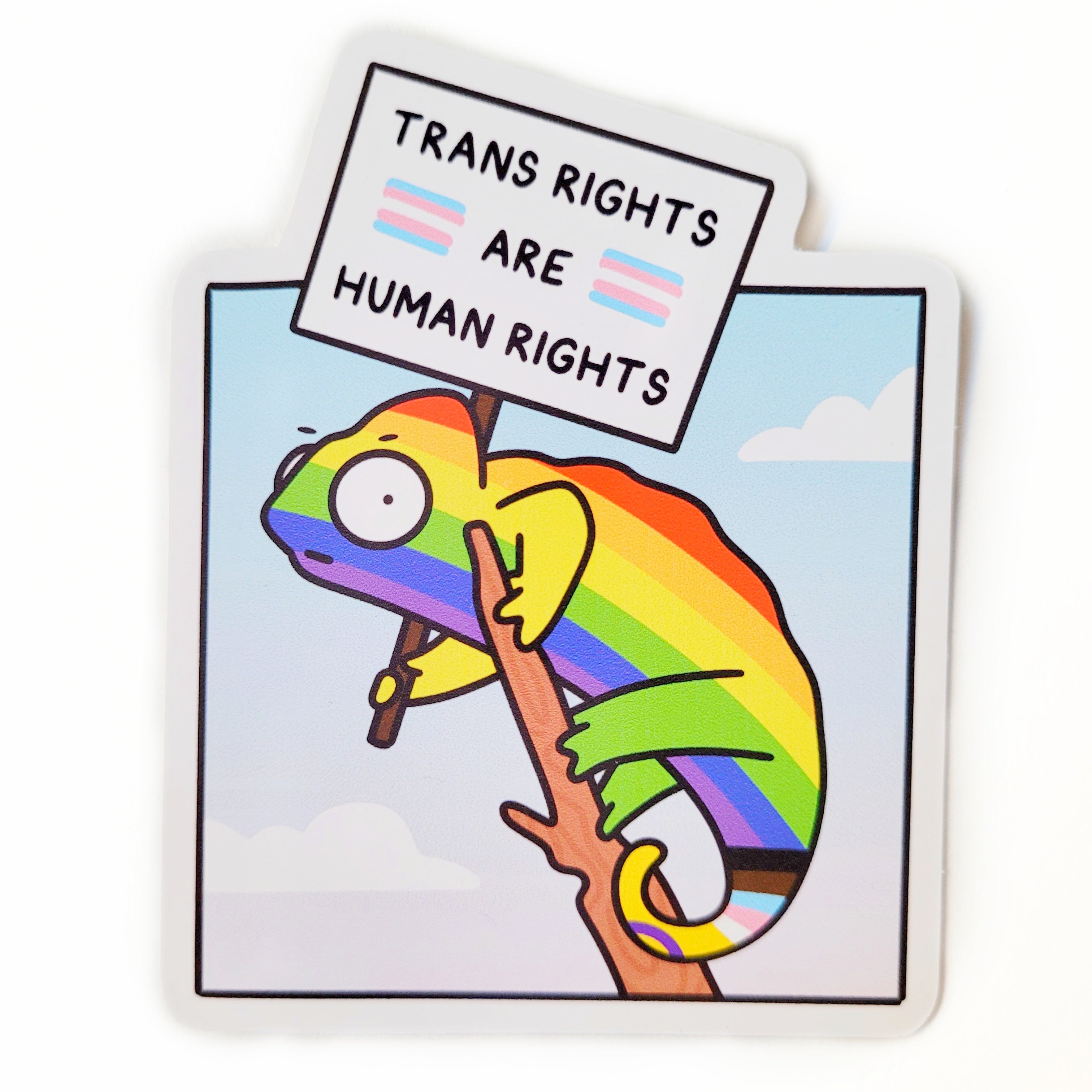 Trans Rights Vinyl Sticker – Handmade Pride