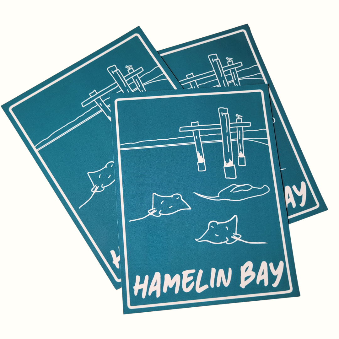 A set of blue square magnets with 'HAMELIN BAY' text and line drawings of a jetty and stingrays
