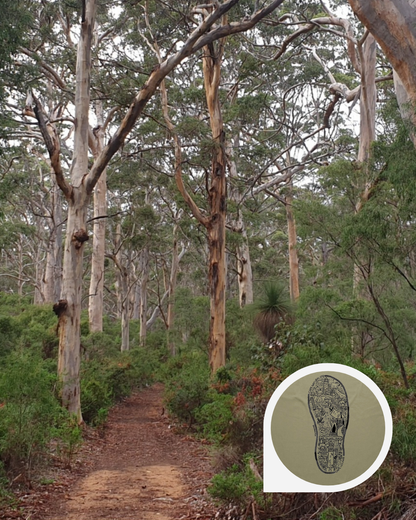 Cape to Cape T-Shirt (Eucalyptus)